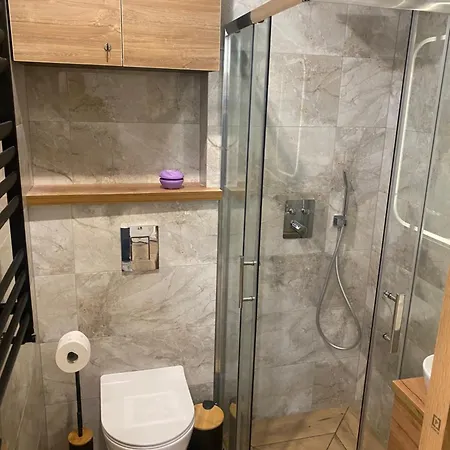 Mickiewicza Apartment